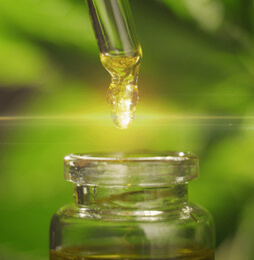 OIL AND SOLVENT PLANTS